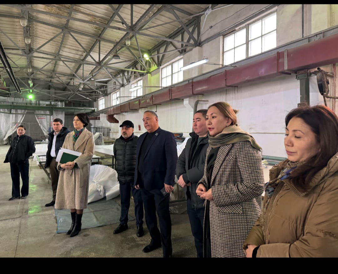 WhatsApp Image 2026-02-18 at 12.50.19.jpeg